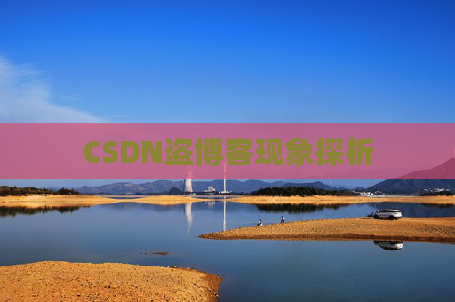 CSDN盗博客现象探析 CSDN盗博客现象探析